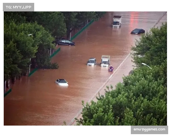 天气与场地预报：雨战或影响布赖顿的地面传控战术